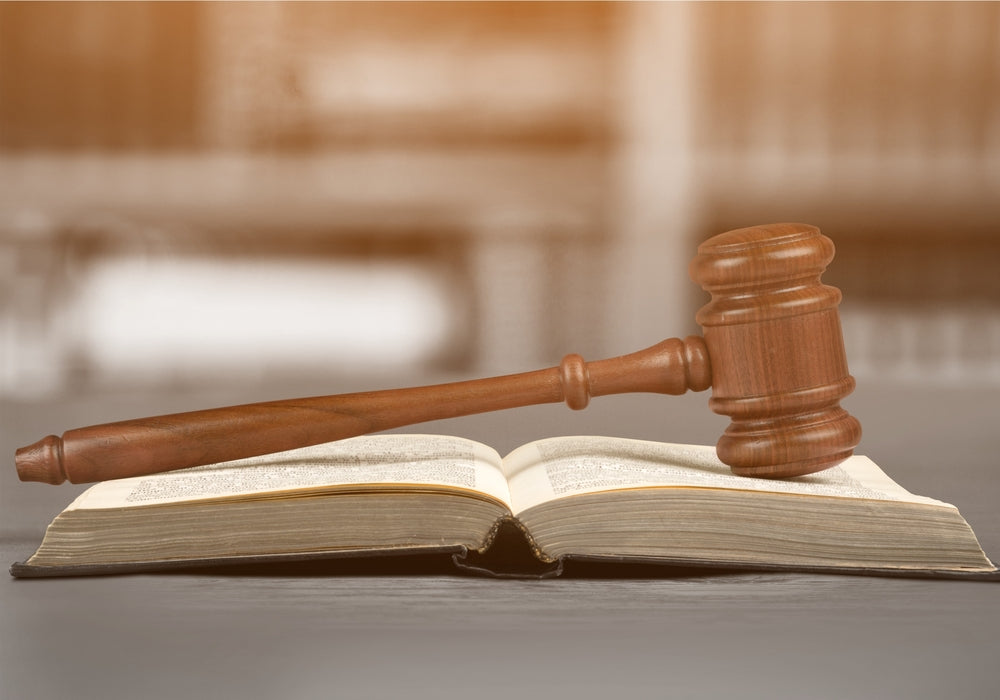 Sample motion to appoint a discovery referee in California