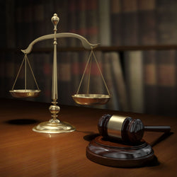 Sample motion to compel satisfaction of judgment in California.