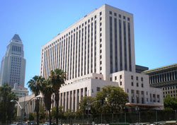 Sample Opposition to Rule 56 Motion for Summary Judgment in United States District Court.