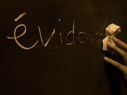 Sample response to request for statement of witnesses and evidence in California.