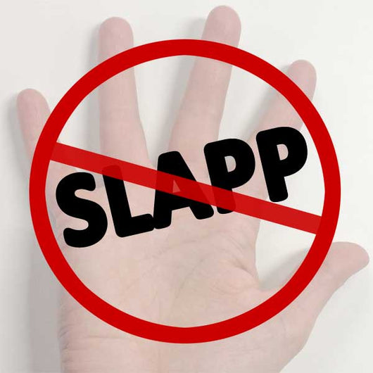 Sample special motion to strike for California under Code of Civil Procedure section 425.16.
