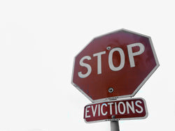 Sample ex parte appliction for stay of exeuction of a California eviction judgment. 